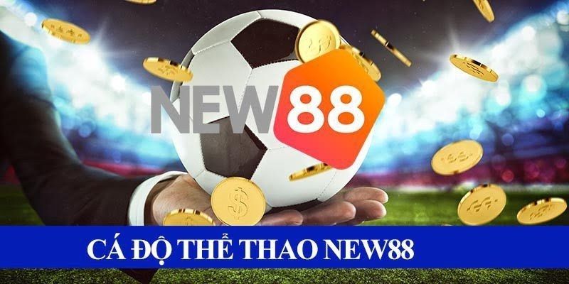 New 88 Giới thiệu về sảnh thể thao tại New 88 kịch tính